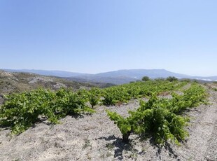 tierra en Murtas, Granada provincia