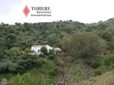 Chalet en venta en Olías, Málaga