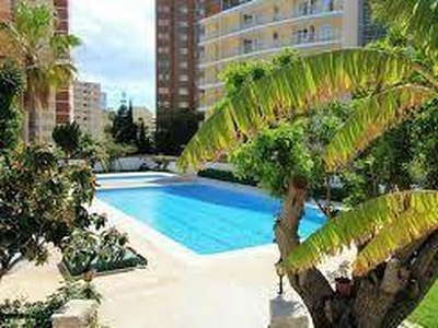 Venta Piso Benidorm. Piso de dos habitaciones Octava planta con terraza