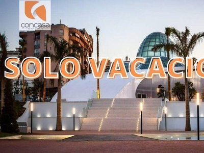 Alquiler Piso Estepona. Piso de tres habitaciones Primera planta con terraza