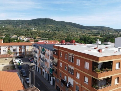 Alquiler Piso Plasencia. Piso de cuatro habitaciones en Calle Manuel Revilla Castán. Tercera planta con terraza