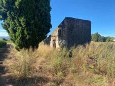 Finca con caseta de campo muy cerca del pueblo