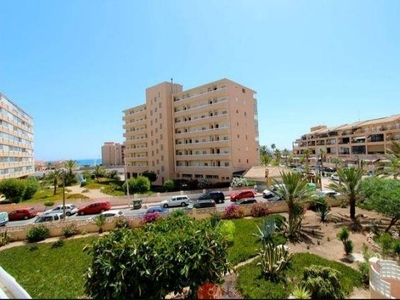 Alquiler Piso Torrevieja. Piso de una habitación en Avenida de los Europeos. Buen estado primera planta con terraza