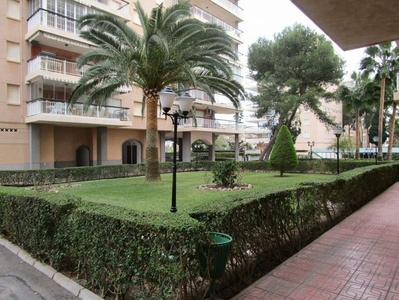 Alquiler de piso en calle Doctor Jorge Comin de 3 habitaciones con terraza y piscina