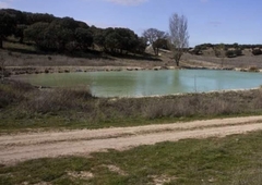 Terreno no urbanizable en venta en la Parque Forestal de Las Contiendas' Valladolid