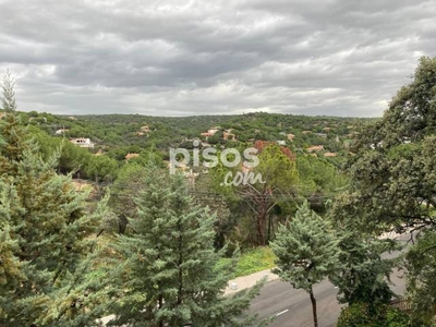 Chalet en alquiler en Avenida de Monteros de Castilla, cerca de Calle del Río Aulencia