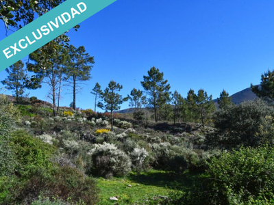 Finca rústica de 12,5 hectáreas en el valle de la Ribera de Acebo.