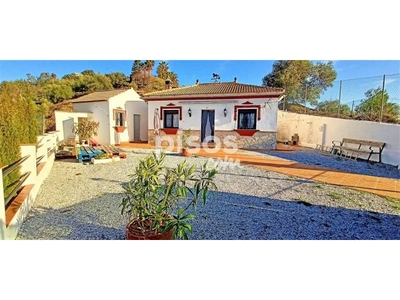 Finca rústica en venta en Sayalonga