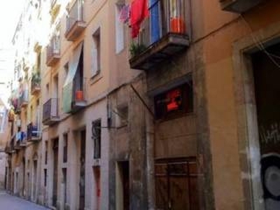 Piso de dos habitaciones Vistalegre 7, El Raval, Barcelona