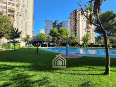 Piso de dos habitaciones Avenida de Madrid, La Pobla de Farnals