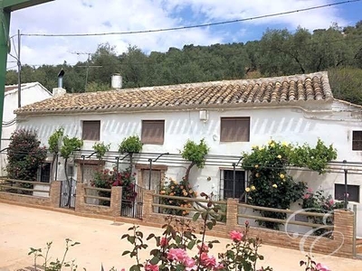 Casa con terreno en Villanueva de Algaidas