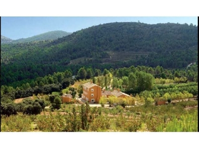 Casa de campo-Masía en Venta en Penàguila Alicante
