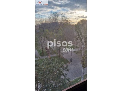 Piso en alquiler en Sevilla Este