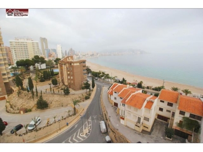 Estudio en Benidorm zona Cala de Benidorm