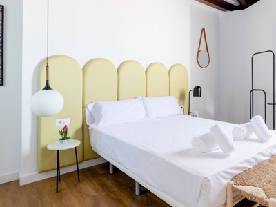 Luminoso piso de 1 dormitorio con Terraza, Granada