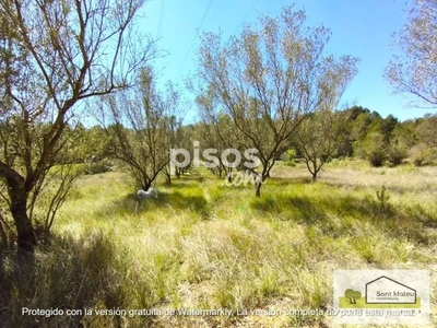 Finca rústica en venta en Calle 17 Parcela, nº 441