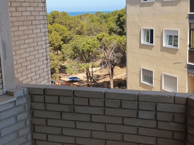 Guardamar Del Segura apartamento en venta