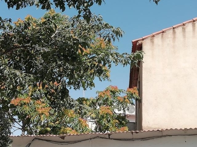 Chalet en Peñarroya-Pueblonuevo