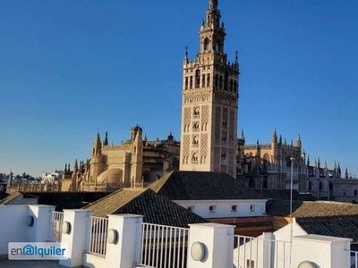 Alquiler de Atico en calle Don Remondo