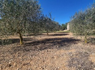 Finca/Casa Rural en venta en Llucmajor, Mallorca