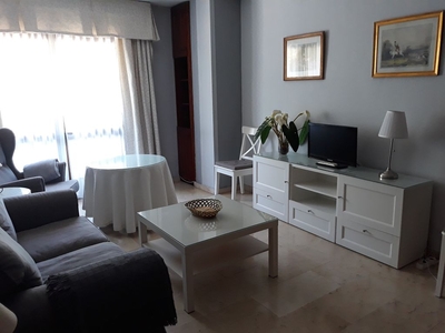 Alquiler de apartamento en avenida Blas Infante de 1 habitación con terraza y muebles