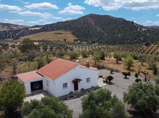 Finca/Casa Rural en venta en Almogía, Málaga