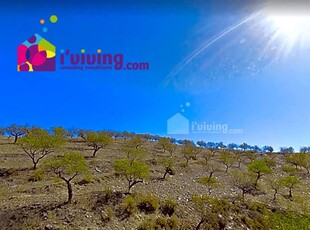 Finca/Casa Rural en venta en Huércal-Overa, Almería