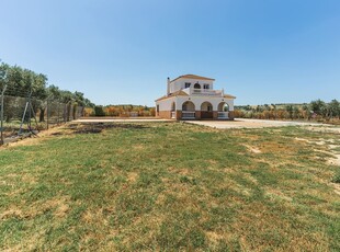 Finca/Casa Rural en venta en Niebla, Huelva