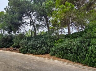 tierra en Manacor, Mallorca