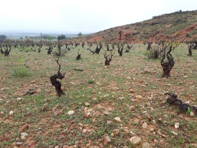 Terreno rústico en venta enpre. barranquillos (polig...,cervera de la cañada,zaragoza