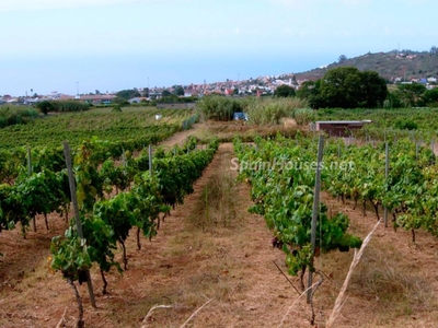 Parcela en venta en Tacoronte