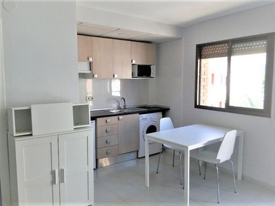 Alquiler de estudio en calle Plateria con terraza y muebles