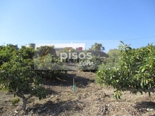 Casa rústica en venta en Torrox Pueblo, Torrox, Málaga, España