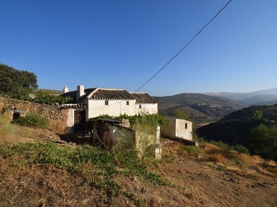 Zagra finca en venta