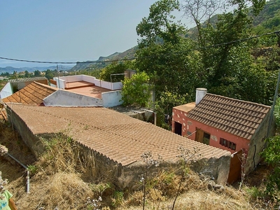 Granja en venta, Vega de San Mateo, Las Palmas