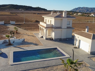 Pinoso villa en venta