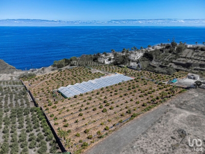 Terreno de 19.800 m² en La Victoria de Acentejo (38380)