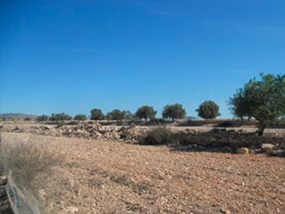 Terreno en venta en praje Los Mesegueres Pg158 Pc.109 Parte Hcda.los Aguados, Murcia, Murcia
