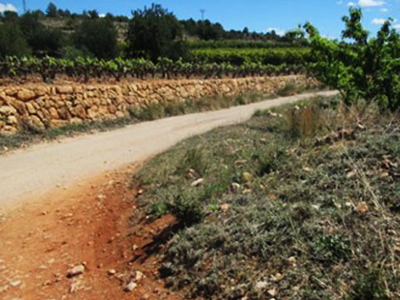 Terreno en venta en ptda Camino De Buño/viñamalata, Polig 2, Parc 588, Turís, Valencia