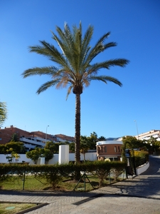Torremolinos (Málaga)