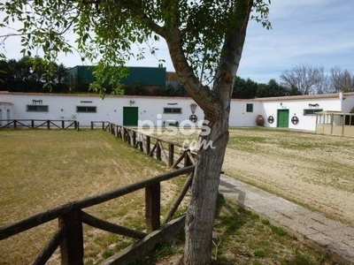 Finca rústica en venta en Villaviciosa de Odón