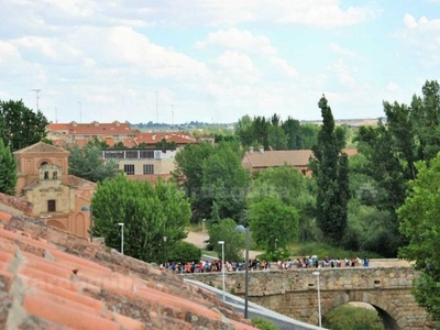 Estudio en Salamanca