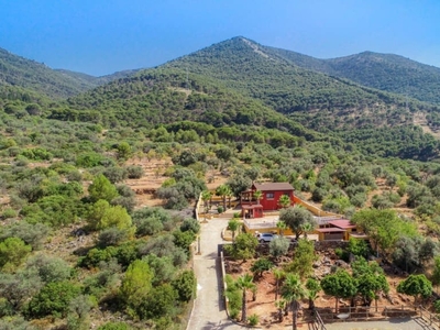 Finca/Casa Rural en venta en Alhaurín el Grande, Málaga