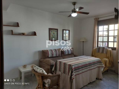 Piso en alquiler en Avenida del Cabo Noval en Centro-Calzada por 525 €/mes