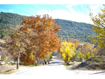 Preciosa vivienda en la Sierra de Huescar (Granada)