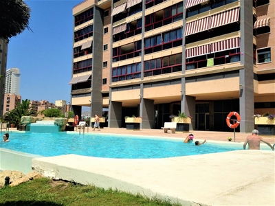 Alquiler de piso con piscina en Benidorm, Hotel Bali