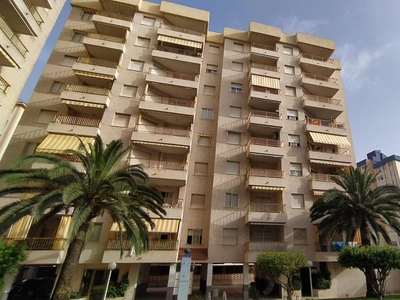 Apartamento de alquiler en Calle Clot de la Mota, 33, Playa de Gandia