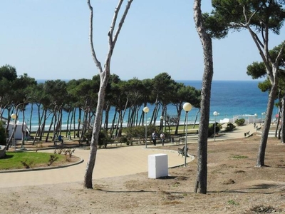 Apartamento de alquiler en Conil