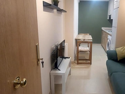 Apartamento de alquiler en Paseo de Los Artilleros, Ambroz