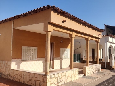 Casa o chalet de alquiler en Calle del Caquiner, Oliva Playa